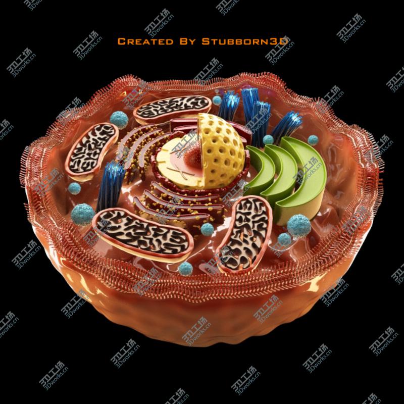 images/goods_img/20210313/Microscopic Collection/5.jpg